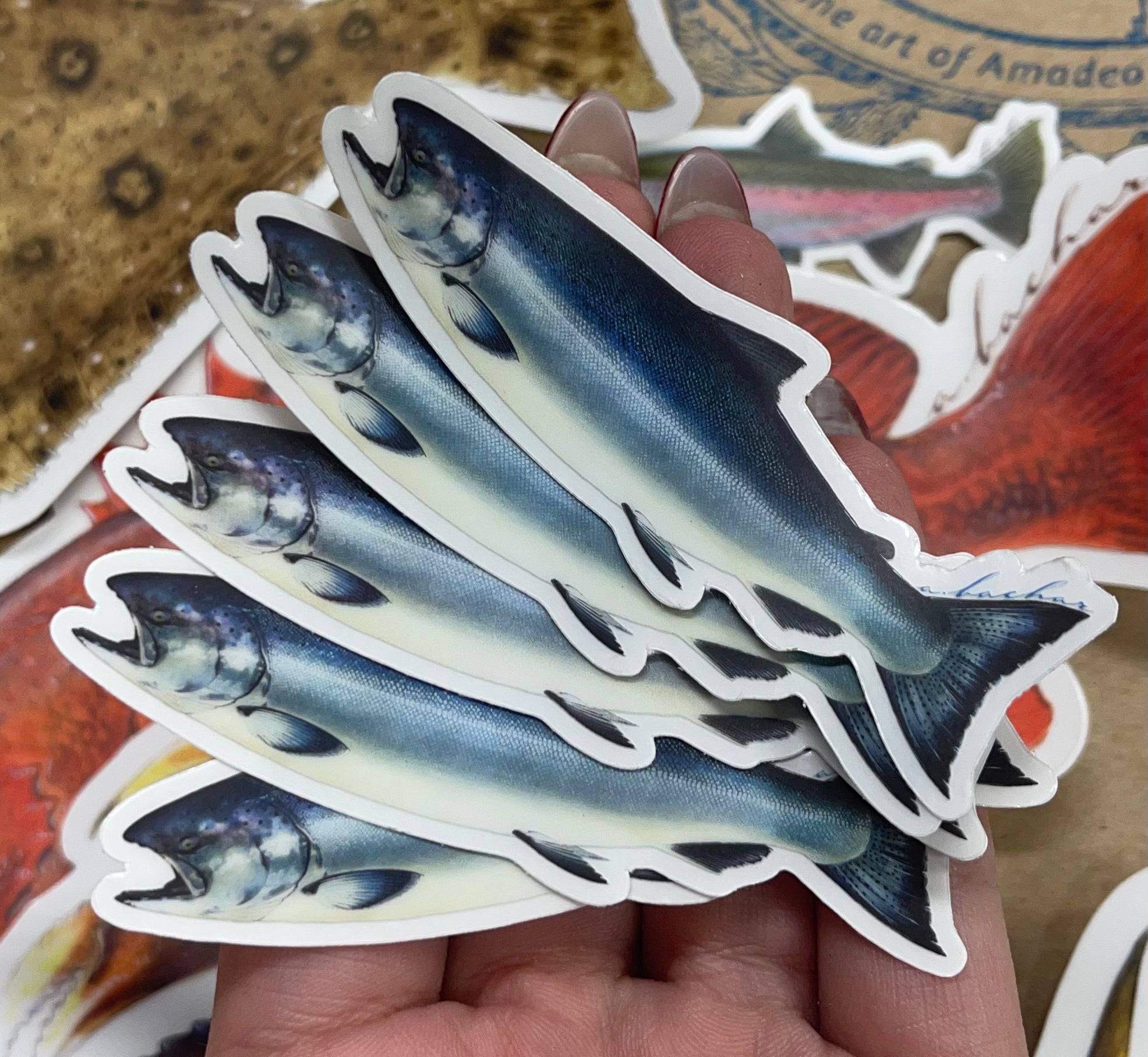 Mini Salmon Stickers (Pack of 5)