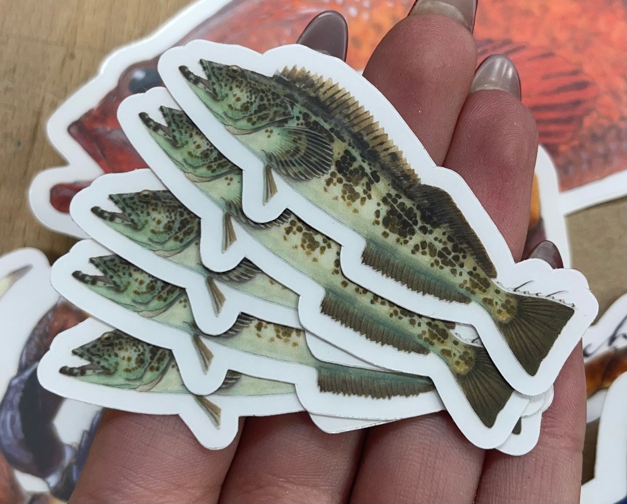 Mini Lingcod Stickers (Pack of 5)