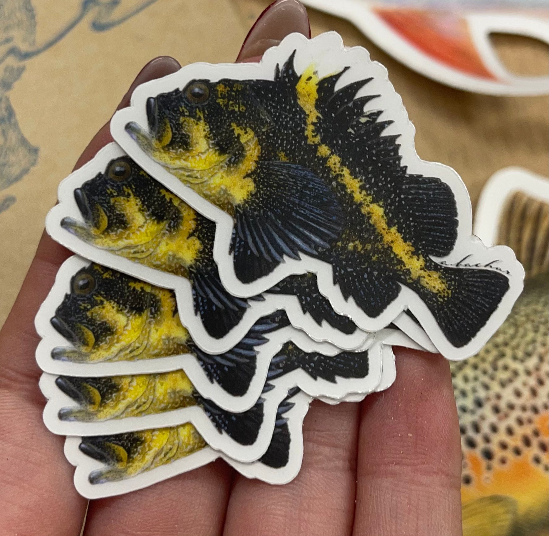 Mini China Rockfish Stickers (Pack of 5)