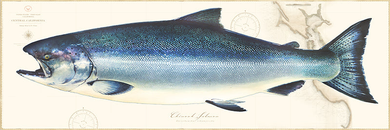 King Salmon Over Nautical Charts