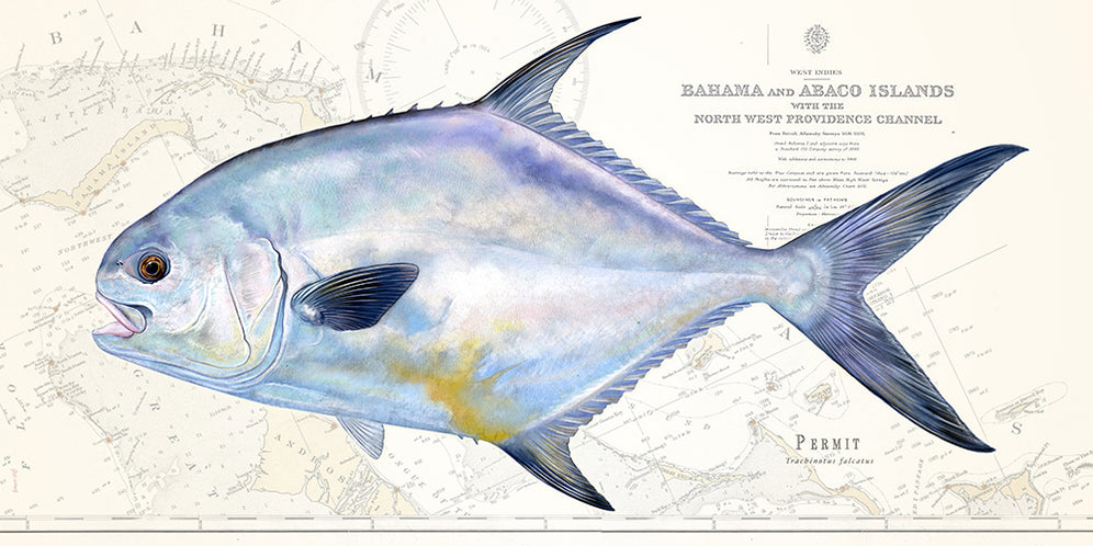 Permit Over Nautical Charts - Studio Abachar