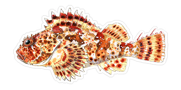 Sculpin - 7"