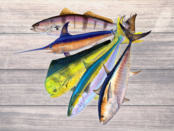 Socal Fish Stickers 5 Pack | Quality Fish Decals by Abachar Studio