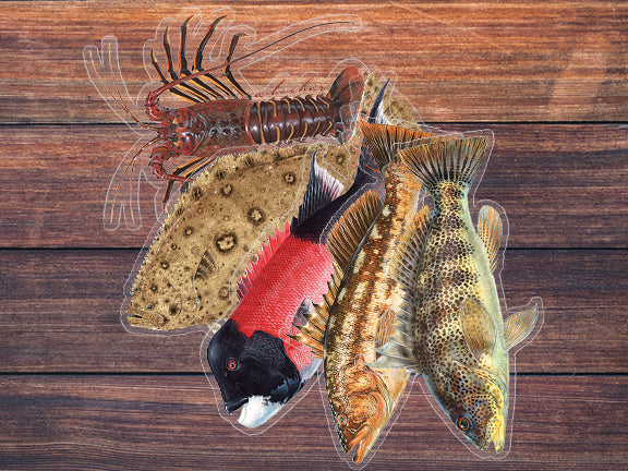 Socal Fish Stickers pack  Quality Fish Decals by Abachar Studio