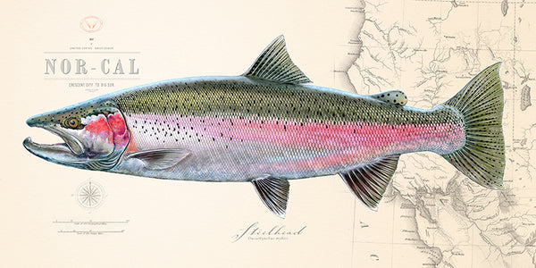 キャスティークトラウトvintage castaic orignal trout キャスティークトラウトvintage castaic orignal trout