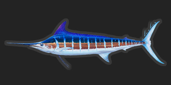 Striped marlin - 8.5"