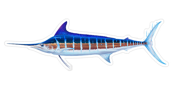 Striped marlin - 8.5"