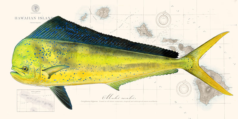 Dorado clearance