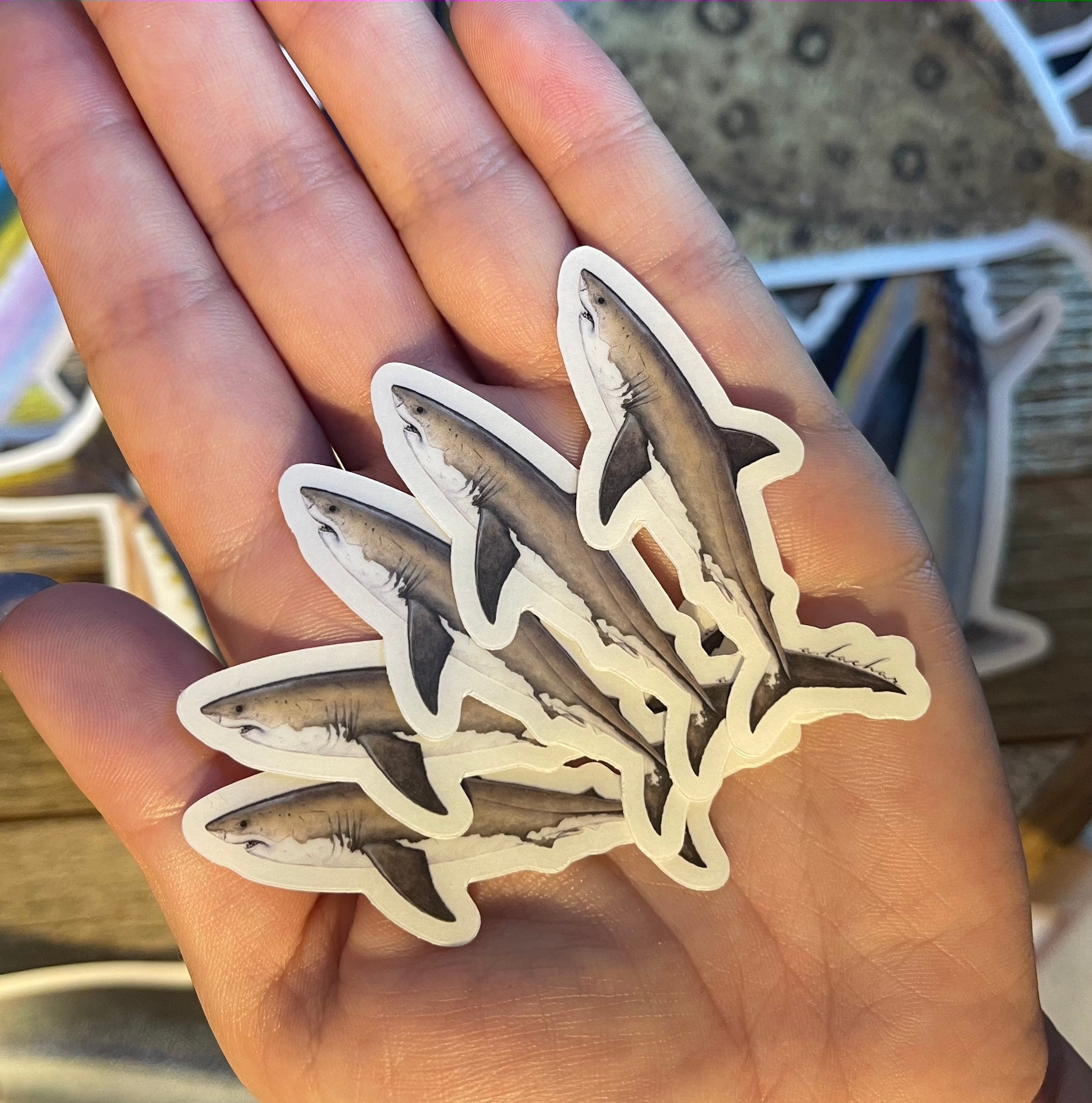 Mini Great White Shark Stickers (Pack of 5)