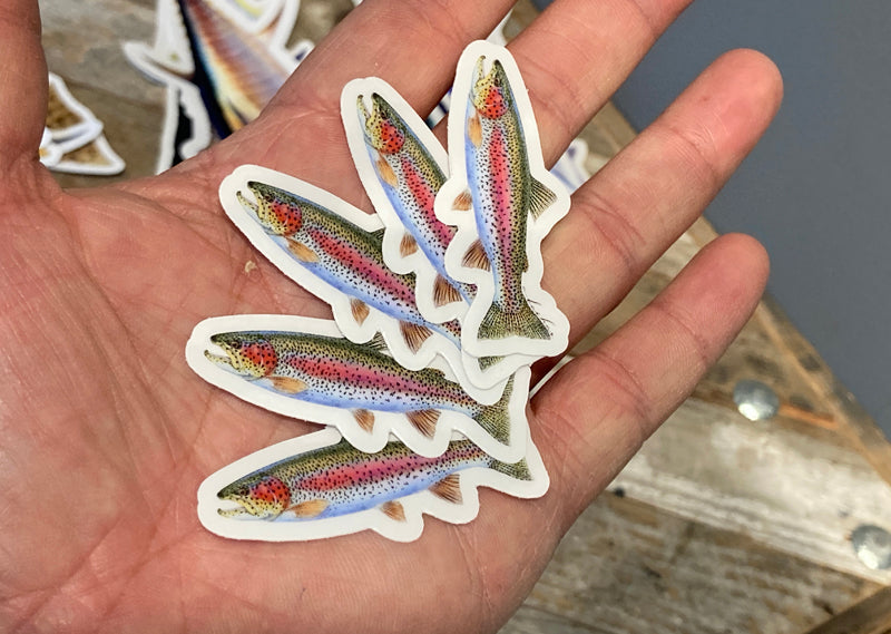Outdoor Rainbow Trout Fish Stickers