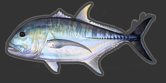 Ulua Fish Sticker