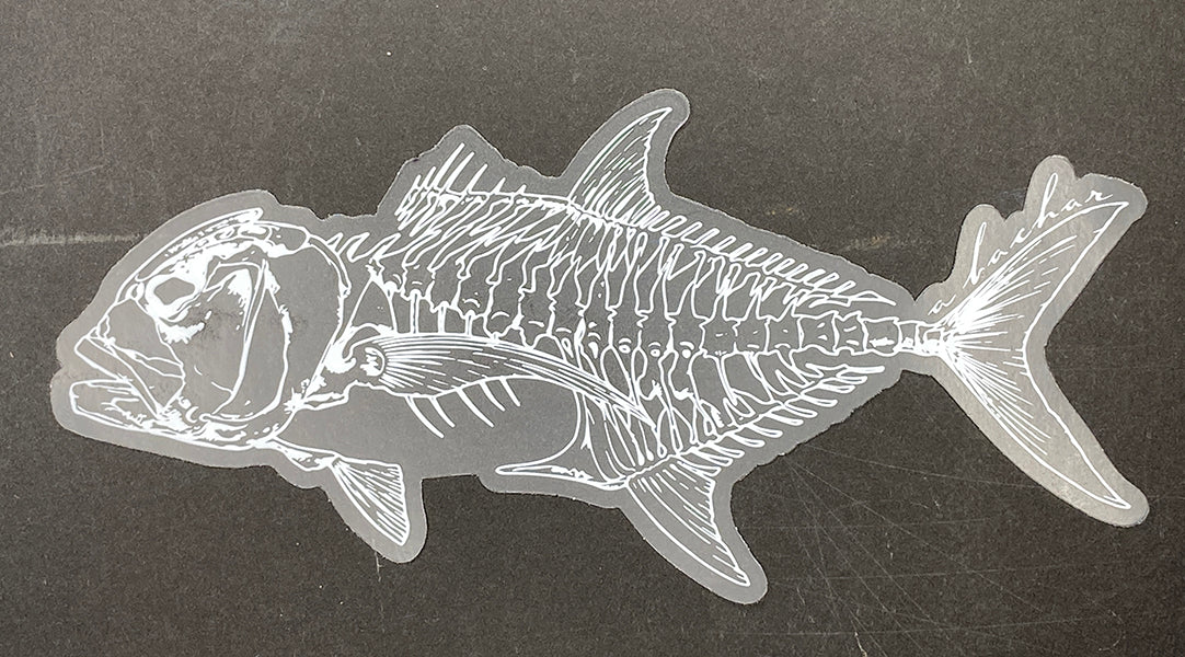 Fish Skeleton Dcale Fish Skeleton Decal