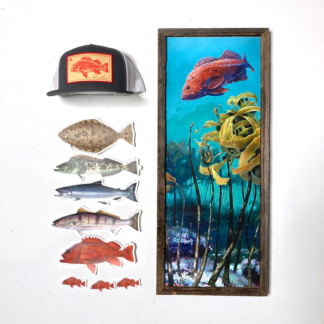 Vermilion rockfish holiday pack