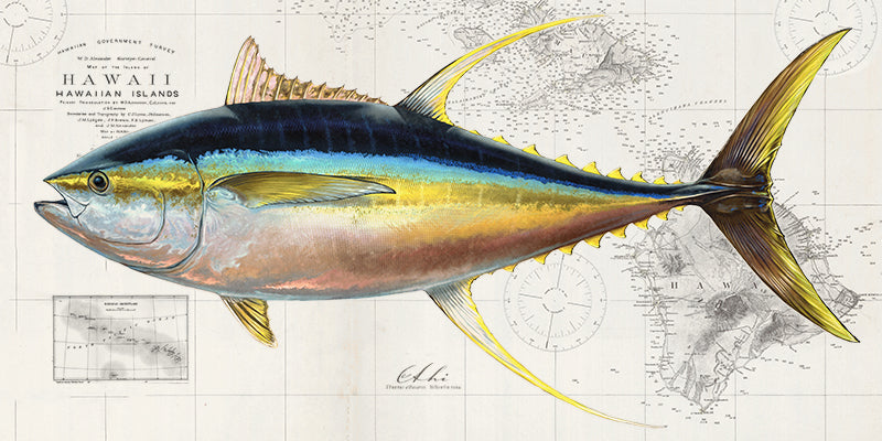 Sportfish art over Hawaiian Islands Vintage Nautical Charts